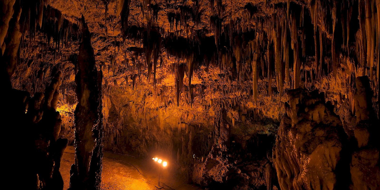 Fidelity Travel Book Now