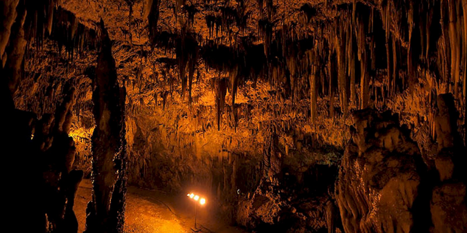 Fidelity Travel Book Now