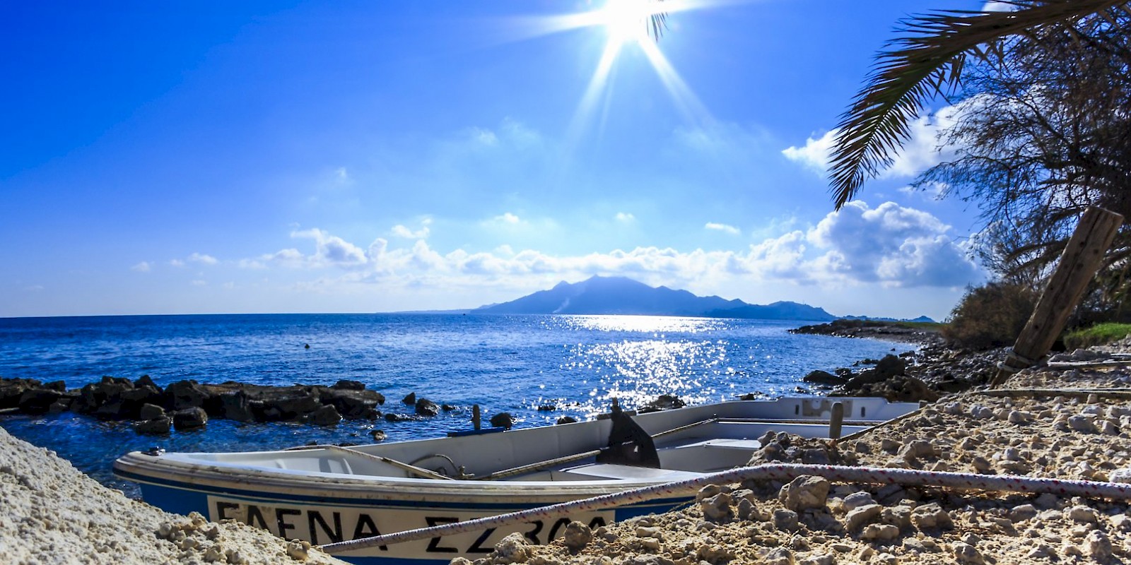 Fidelity Travel Book Now