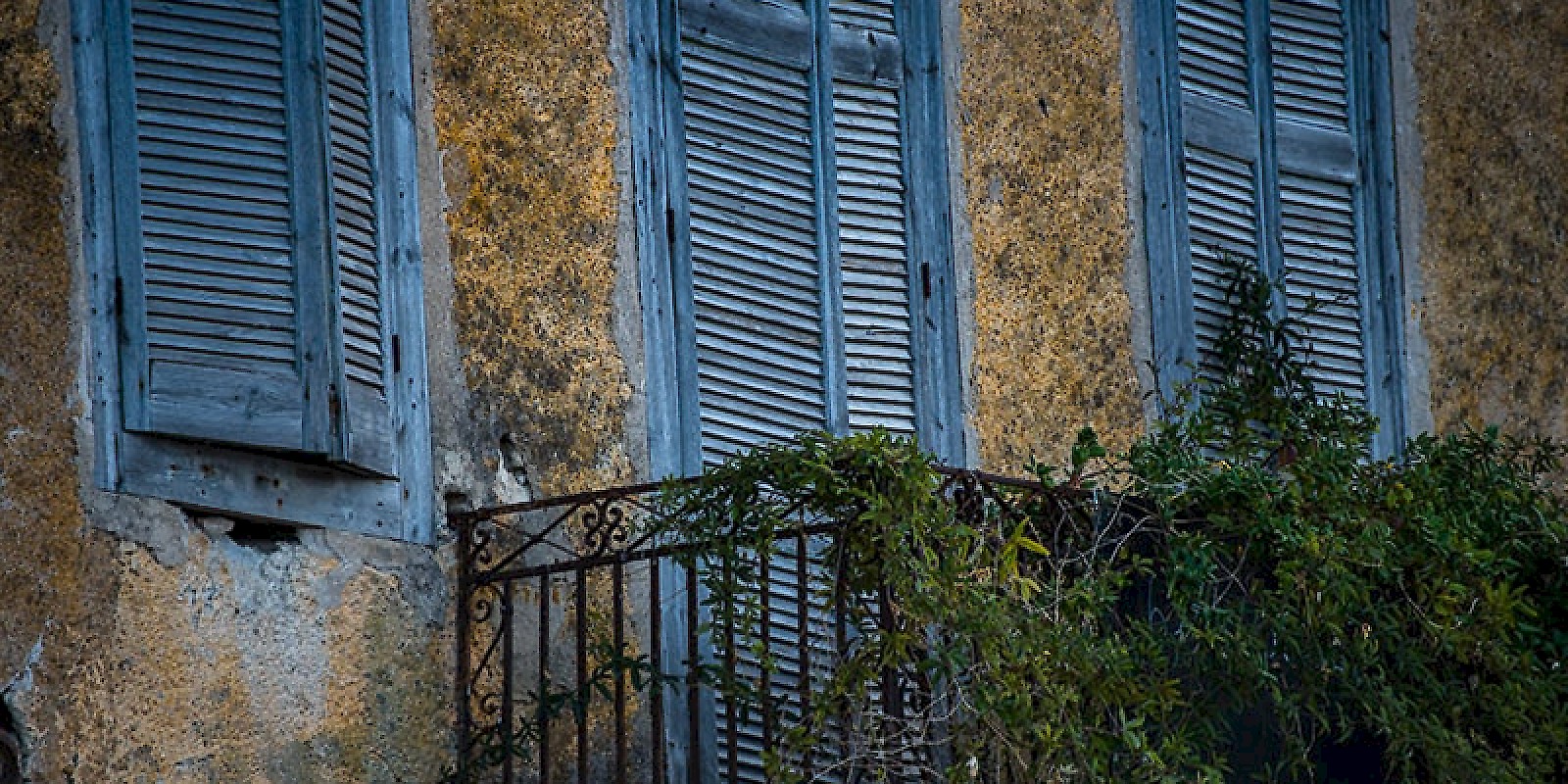 Fidelity Travel Book Now