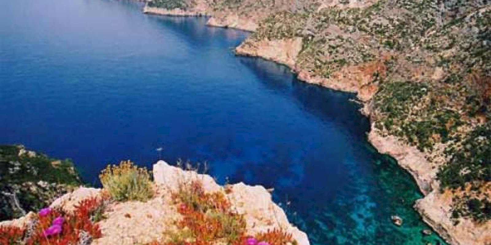 Fidelity Travel Book Now