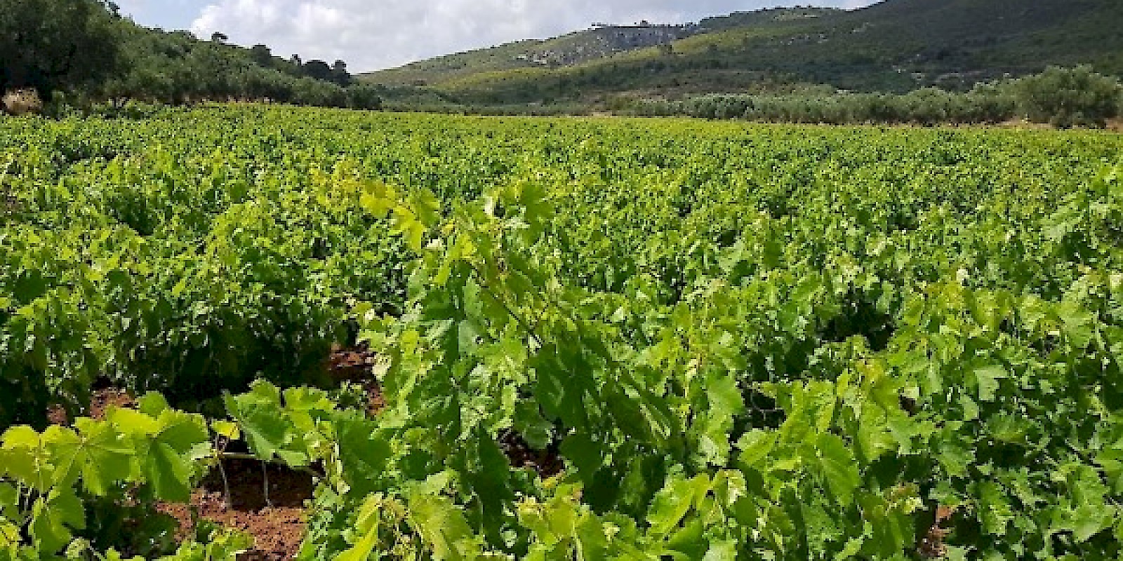 Fidelity Travel Book Now