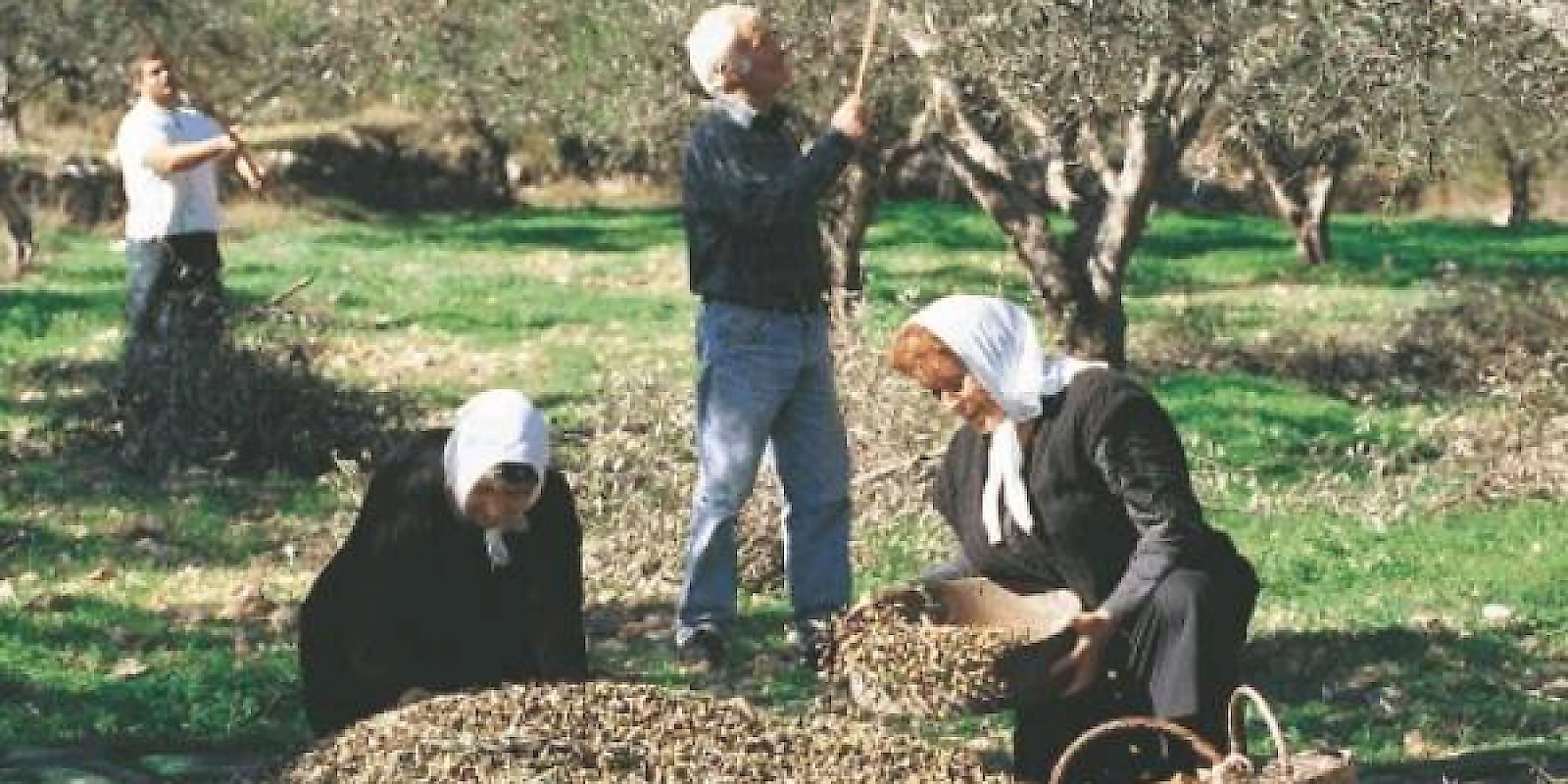 Fidelity Travel Book Now