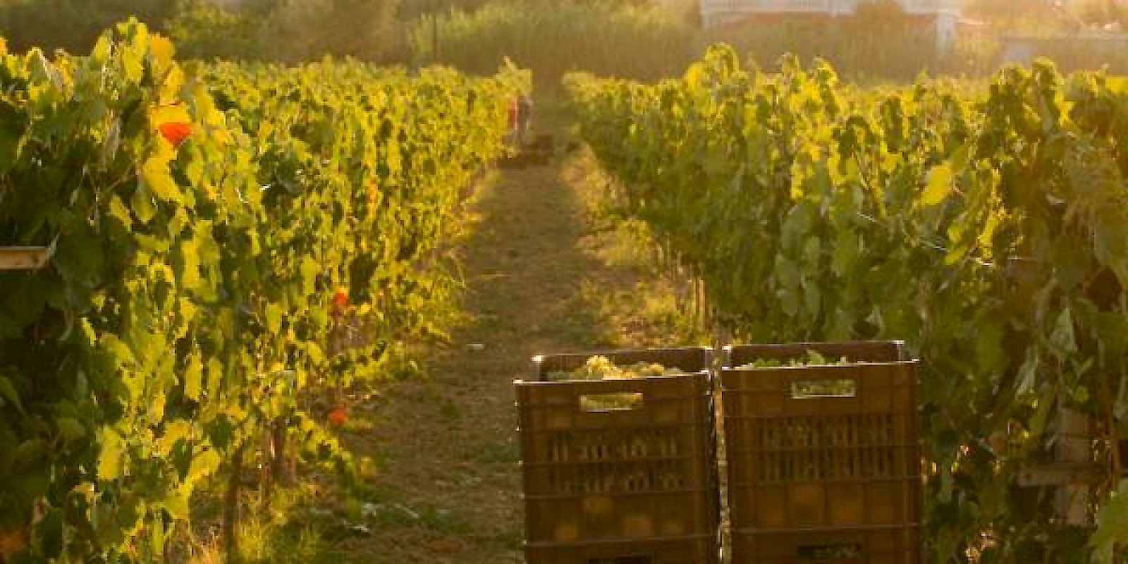 Fidelity Travel Book Now