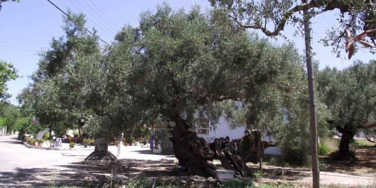 Fidelity Travel Book Now