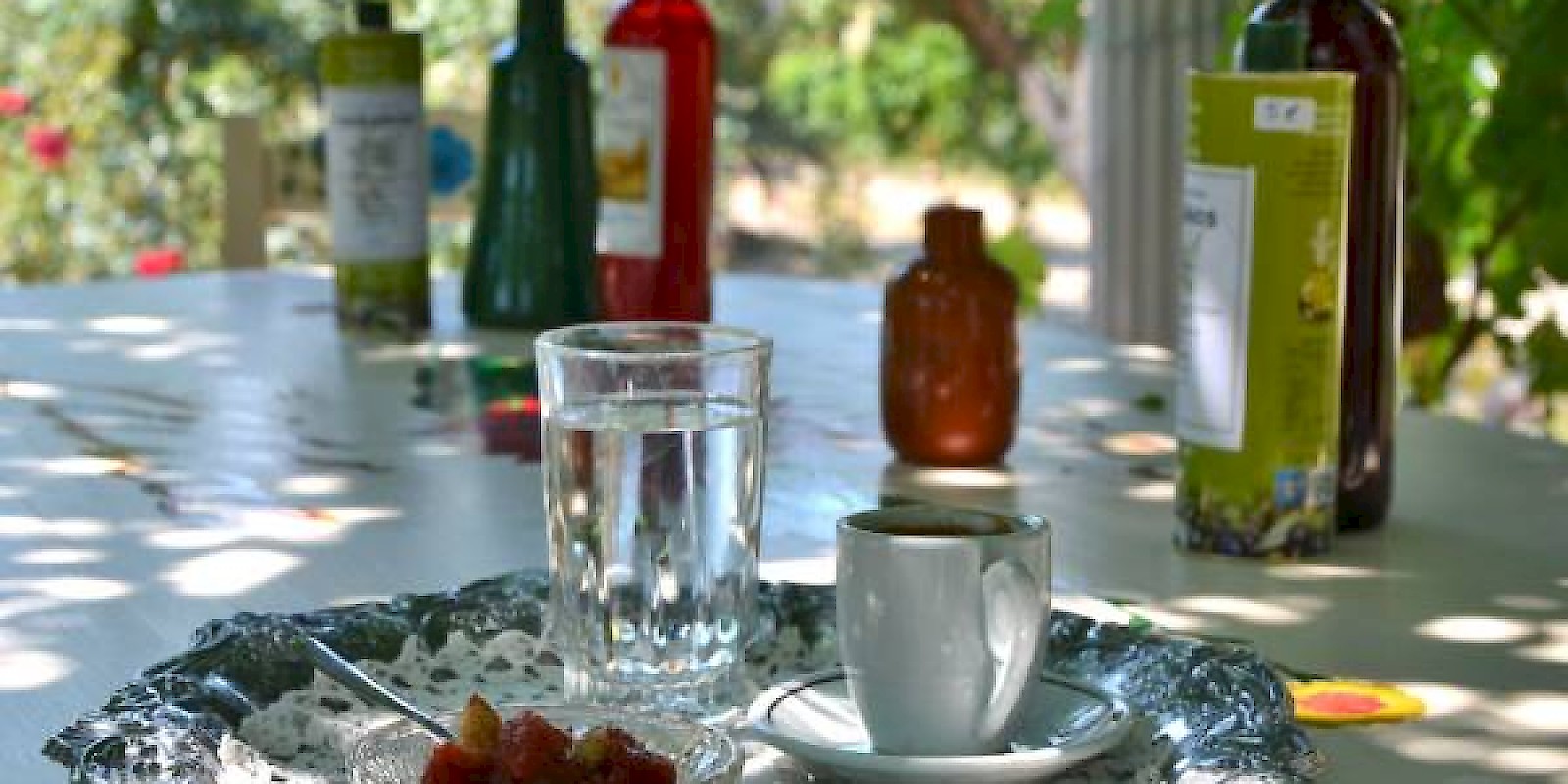 Fidelity Travel Book Now