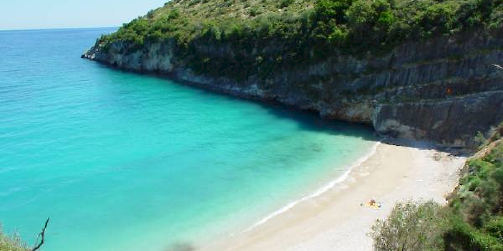 Fidelity Travel Book Now